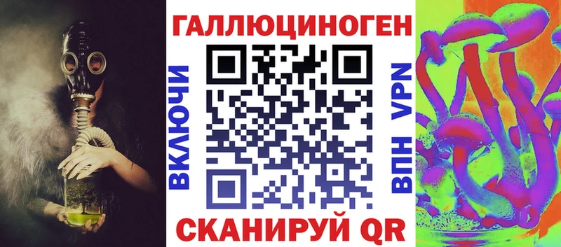 Купить закладки  Белгород  Псилоцибиновые грибы Psilocybe 